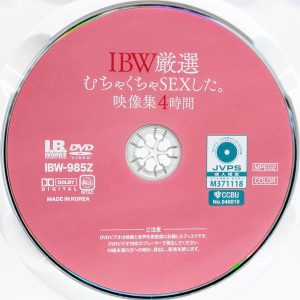 I.B.WORKS　IBW-985Z　むちゃくちゃSEXした。映像集【4時間】
