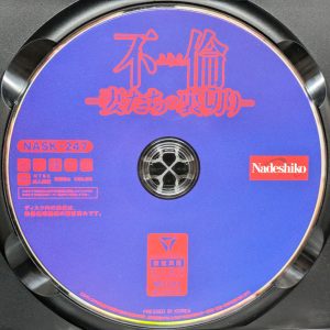 Nadeshiko　NASK-247　不倫ー妻たちの裏切りー【20人240分】