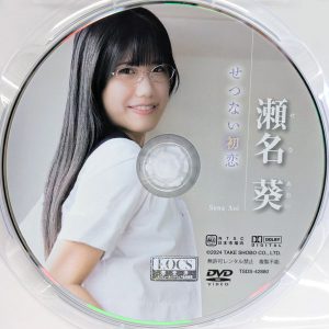 竹書房　瀬名葵　TSDS-42880　せつない初恋