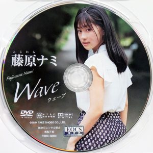 竹書房　藤原ナミ　TSDS-42865　ウェーブ
