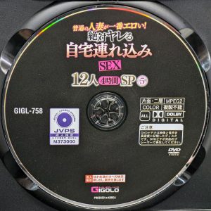 GIGOLO　GIGL-758R8.4　普通の人妻が一番エロい！絶対ヤレる自宅連れ込みSEX【12人4時間SP・5】
