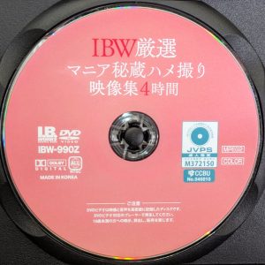 I.B.WORKS　IBW-990Z　R8.3　マニア秘蔵ハメ撮り映像集【4時間】
