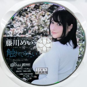 竹書房　藤川めい　TSDS-42903R8.3　触れてみたい