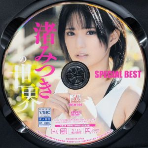 AVS　渚みつき　AVSW-064R8.5　渚みつきの世界【SPECIAL BEST★5時間】