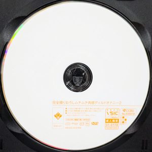 OFFICE K'S　DOKS-651R8.6　ムチムチ肉感ディルドオナニー 2【咲野瑞希 滝ゆいな 辻井ほのか 滝川すみれ 花宮きょうこ】