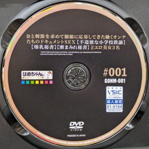 はめちゃんGOLD　GOHM-001R8.6　金と刺激を求めて個撮に応募してきた働くオンナたちのドキュメントSEX【七原さゆ 水川潤 生田望美】