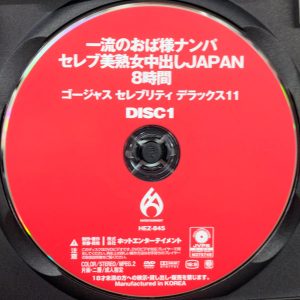 HOT　HEZ-845R8.6　一流のおば様ナンパ セレブ美熟女中出しJAPAN 11【8時間2枚組14名】