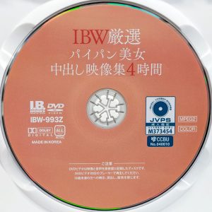 I.B.WORKS　IBW-993Z　R8.5　パイパン美女中出し映像集【4時間】