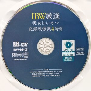 I.B.WORKS　IBW-994Z　R8.5　美女わいせつ記録映像集【4時間】