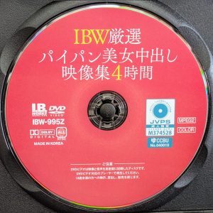 I.B.WORKS　IBW-995Z　R8.6　パイパン美女中出し映像集【4時間】