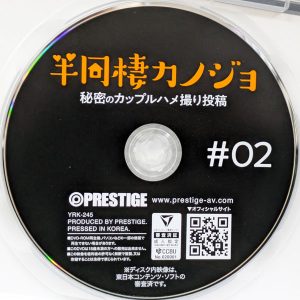 PRESTIGE　YRK-245R8.5　半同棲カノジョ 秘密のカップルハメ撮り投稿 ＃02