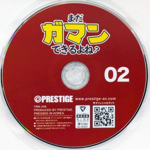 PRESTIGE　YRK-246R8.5　まだガマンできるよね？02【3名】